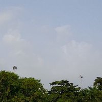 Curios (@curiosagain) 's Twitter Profile