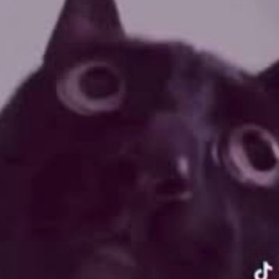 RPh2023NovCutie's profile picture. 🦋