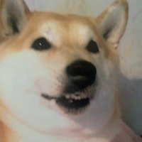 ずんだの空 (@soramaro826) 's Twitter Profile