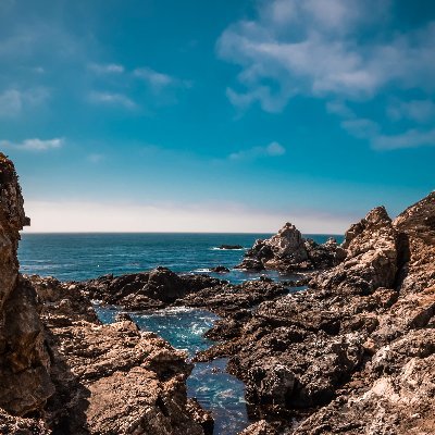 Luigi10110269's profile picture. 