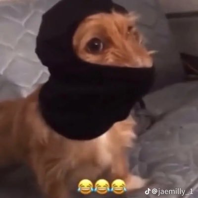 artist_flop's profile picture. 