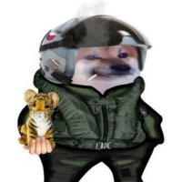 Martin Imramovský (Wartdog) 🚑🇨🇿🇺🇦 (@martinwartdog) 's Twitter Profile