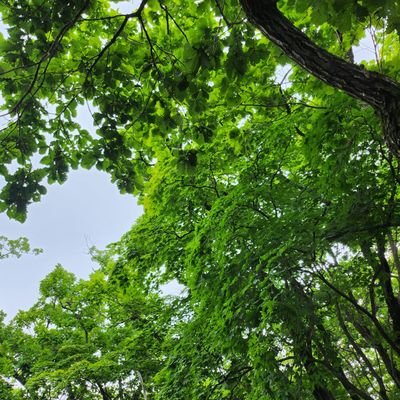 luckylucy7's profile picture. 