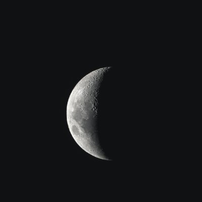 walsafk's profile picture. 