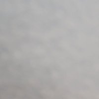 alternaga2022 (@chase20224) 's Twitter Profile