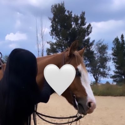 inoaieri's profile picture. 🇶🇦🏓 🏸🎾 💃🏼 🎶 🏹 🏊🏼‍♀️ 🤿 🚴‍♀️✈️ BA 2016 | Pg Cert 2020 | MSc 2023 🎓