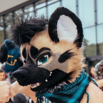 ArdynWolf Profile Picture