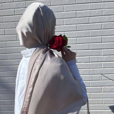 Ayesha_Malik64's profile picture.