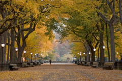 Angel_2_Angel's profile picture. We are changing peoples lives everyday by helping those in need & we need your help. We also specialize in making pouting dolls.