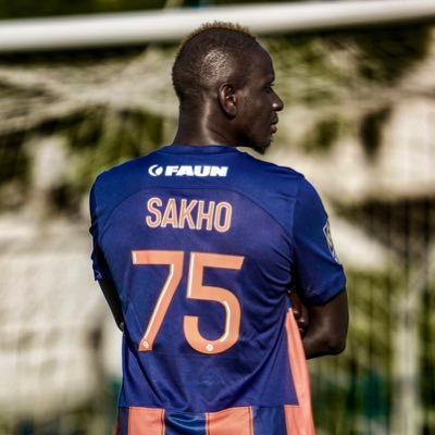 mamadousakho Profile Picture