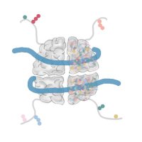 Fides Zenk (@epign_lab) 's Twitter Profile Photo Fides Zenk (@epign_lab) 's Twitter Profile Photo