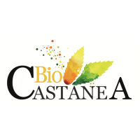 Biocastanea 2024 (@biocastanea) 's Twitter Profile
