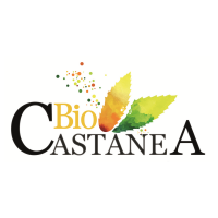 Biocastanea 2023(@BioCastanea) 's Twitter Profile Photo