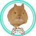 うさぎ先生(シークレットモード) (@feelfreetobest) Twitter profile photo うさぎ先生(シークレットモード) (@feelfreetobest) Twitter profile photo