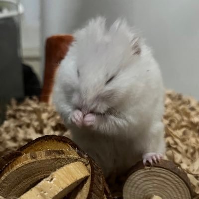 10LDKさんのプロフィール画像