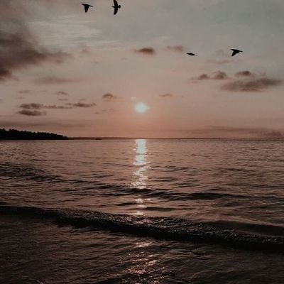 danangfa2's profile picture. no bio