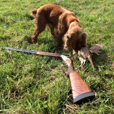 Un gars du Sud-Ouest qui dit chocolatine et cagouille #ilsSachentNousChassons #Peche #ChassePartage #NatureEtTradition #LiberteRuralite my leitmotiv