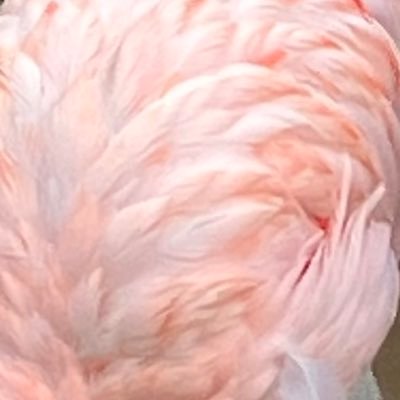 あばよ🛼さんのプロフィール画像