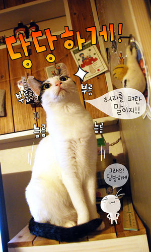 한 없이 길고 긴 시간을 돌고 돌아서,,,