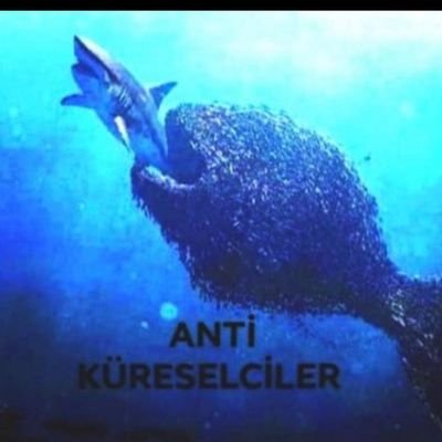 belgin106's profile picture. vatanını seven