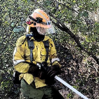 Wildland Firefighters Spain. Cuidando el monte. Aprendiendo y divulgando sobre incendios forestales. Y lo que me de la gana. Cuenta B de @WildlandFirefig