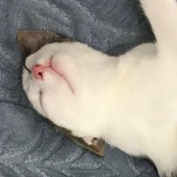 Eczane teknikeri💊 (@teknikereczane) 's Twitter Profile Photo