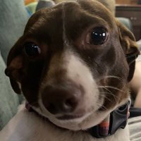 DMac (@macspdrm16) 's Twitter Profile