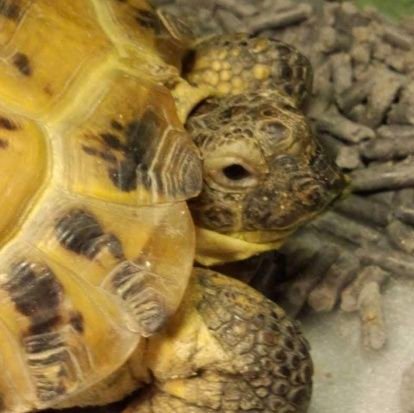 YaS0q2VfgNnMqds's profile picture. 娘とインテリアと美味しいものとミスチルが癒やしの母🏠