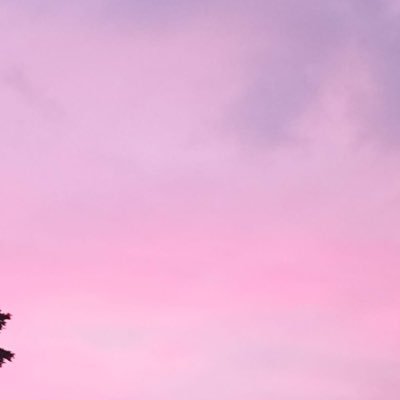 Yvonnarrr's profile picture. 