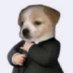 Albert Nomino (@axecow) Twitter profile photo Albert Nomino (@axecow) Twitter profile photo