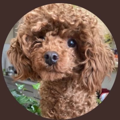 ChapmanBen10360's profile picture. I tell it the way I see it. I am an art lover, and animals are my life.