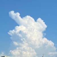 クチバシ@😷 (@ari5262) Twitter profile photo