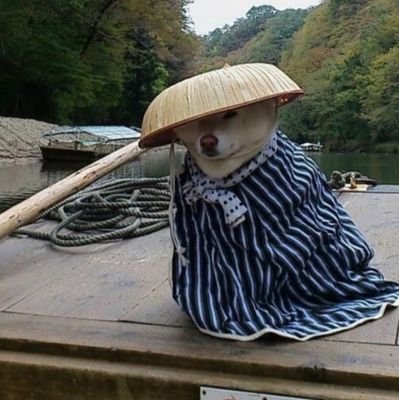 ReupoJohn's profile picture. Aún no sé qué colocar en la biografía.