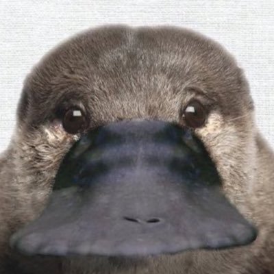 ワタナベさんのプロフィール画像