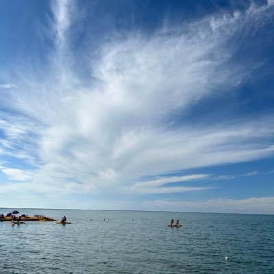 Chenzhnegfeng's profile picture. 