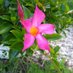 Mary Smith (@smith29835) Twitter profile photo Mary Smith (@smith29835) Twitter profile photo