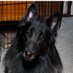 Paula Hulett (@rdh14253) Twitter profile photo Paula Hulett (@rdh14253) Twitter profile photo