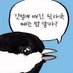 likerbirds (@likerbirds) Twitter profile photo likerbirds (@likerbirds) Twitter profile photo