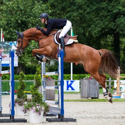 MoretPhoto's profile picture. 