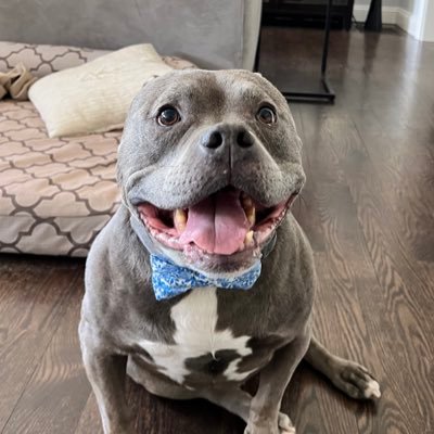 Coffee lover, Therapist, Healthcare Compliance Champion, Toddler & Pitty wrangler. My clients sometimes think I'm funny... Opinions are my own.