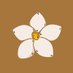 MUNROS (@munrosbakehouse) Twitter profile photo MUNROS (@munrosbakehouse) Twitter profile photo