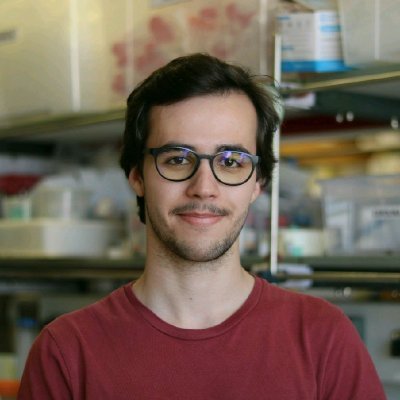 PhD student | Enzyme engineering @ Met Lab - ITQB NOVA (Oeiras) and Zymvol (Barcelona)