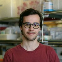 Tomás Frazão (@frazsiglu) 's Twitter Profile