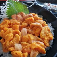 yuunoashi (@yuunoashi) Twitter profile photo