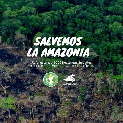 Si perdemos l'Amazonas, perderemos hábitats únicos y a las especies animales que lo habitan. Las comunidades indígenas perderán todo. El mundo salve l'Amazonas!
