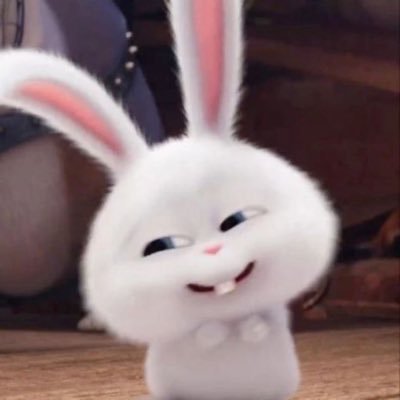 berrie_bunnies's profile picture. 