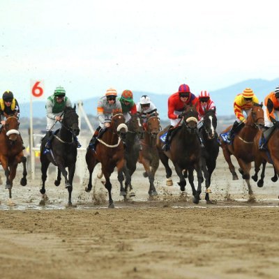 The only Horse race event run on a beach under the Irish Rules of Racing. Once a year. Next race 12th September 2023 Laytown Strand, Co.Meath, Ireland