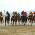 Laytown Races (@laytownraces) Twitter profile photo Laytown Races (@laytownraces) Twitter profile photo