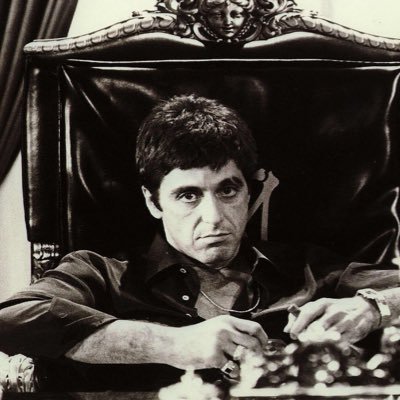 High Vol Bettor! FREE Picks Daily! PARLAYS! ALL SPORTS! LET’S ALL EAT! JOIN THE MOB! Check Highlights 4 Crazy Parlay Wins! DM for VIP Picks #mob_bets #cfc $GPU