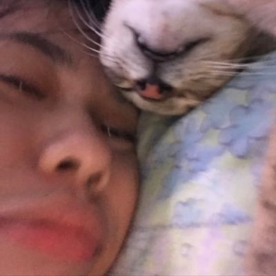 kztumaru's profile picture. it is what it is